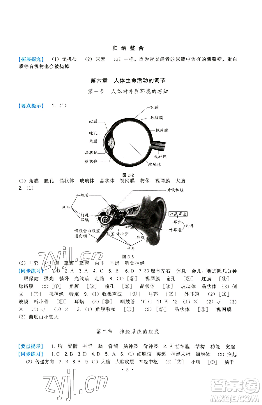 福建人民出版社2023頂尖課課練七年級下冊生物人教版參考答案