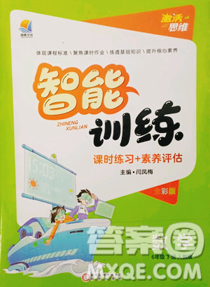 陽光出版社2023激活思維智能訓(xùn)練六年級下冊數(shù)學(xué)人教版參考答案