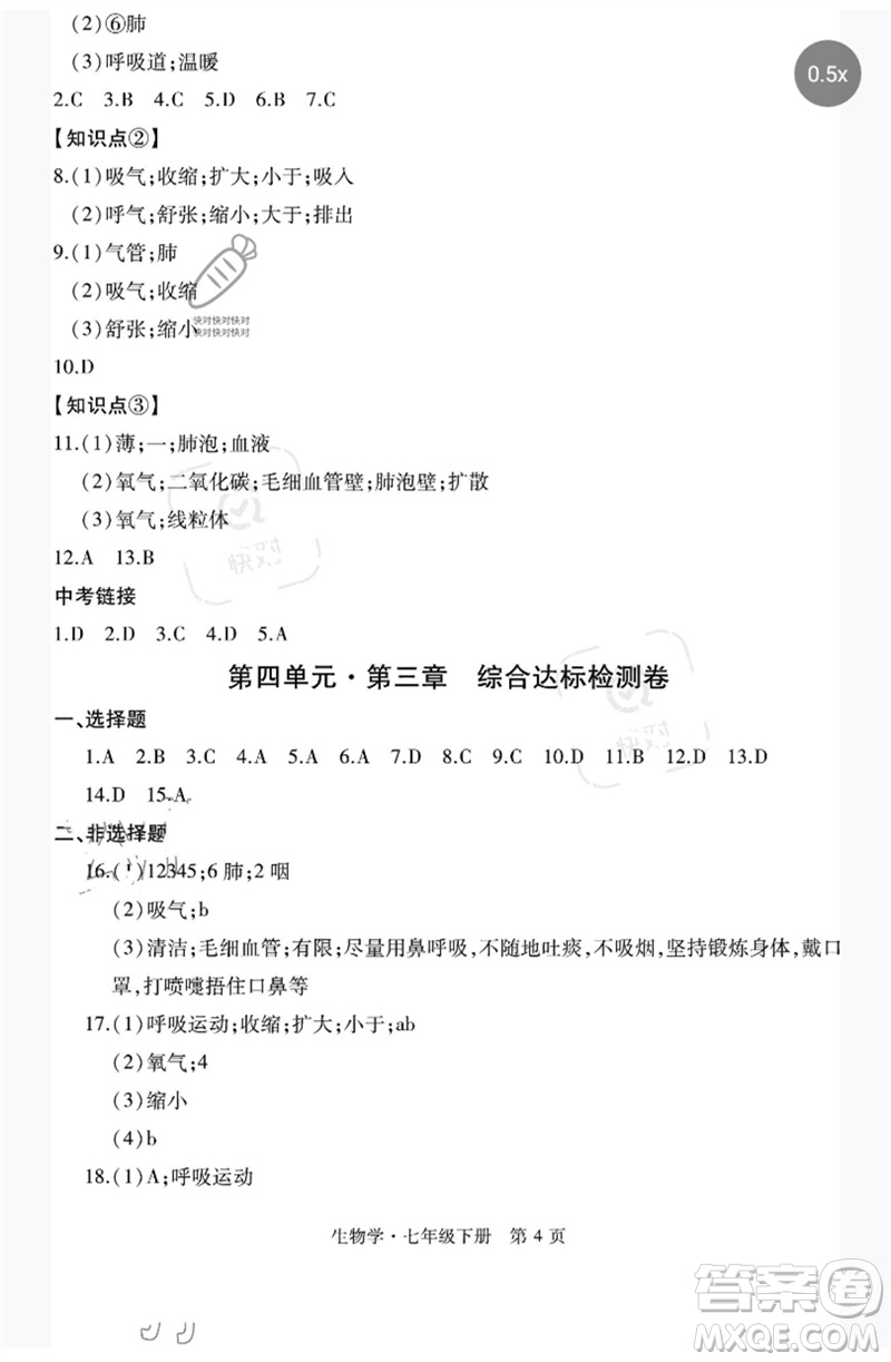 明天出版社2023初中同步練習(xí)冊自主測試卷七年級生物下冊人教版參考答案