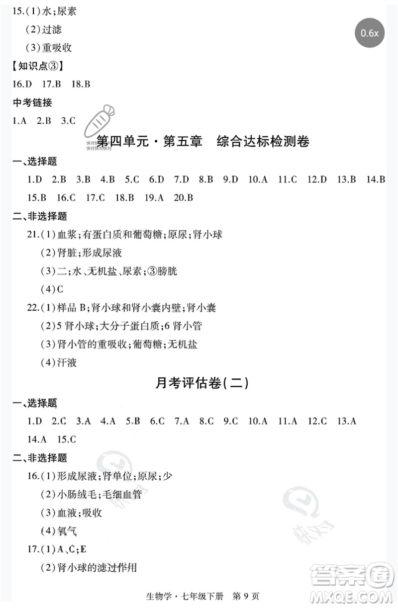 明天出版社2023初中同步練習(xí)冊自主測試卷七年級生物下冊人教版參考答案