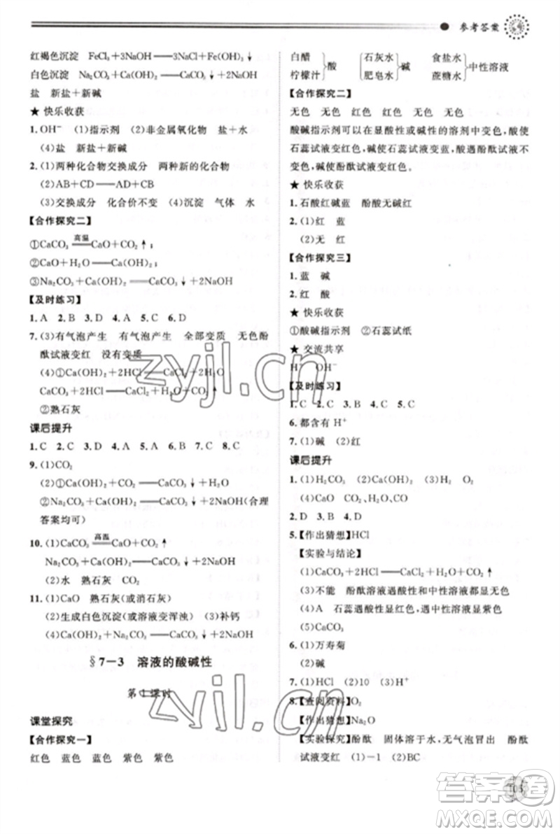 明天出版社2023初中同步練習(xí)冊九年級化學(xué)下冊魯教版參考答案