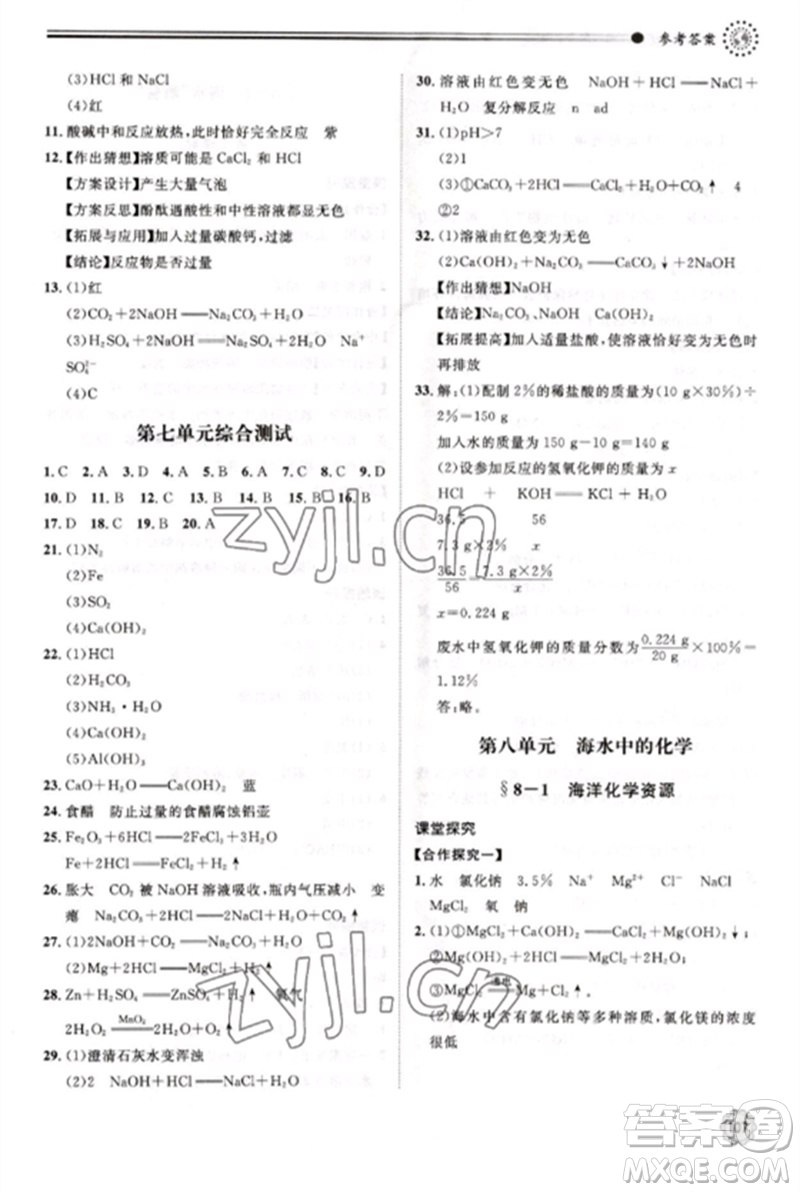 明天出版社2023初中同步練習(xí)冊九年級化學(xué)下冊魯教版參考答案