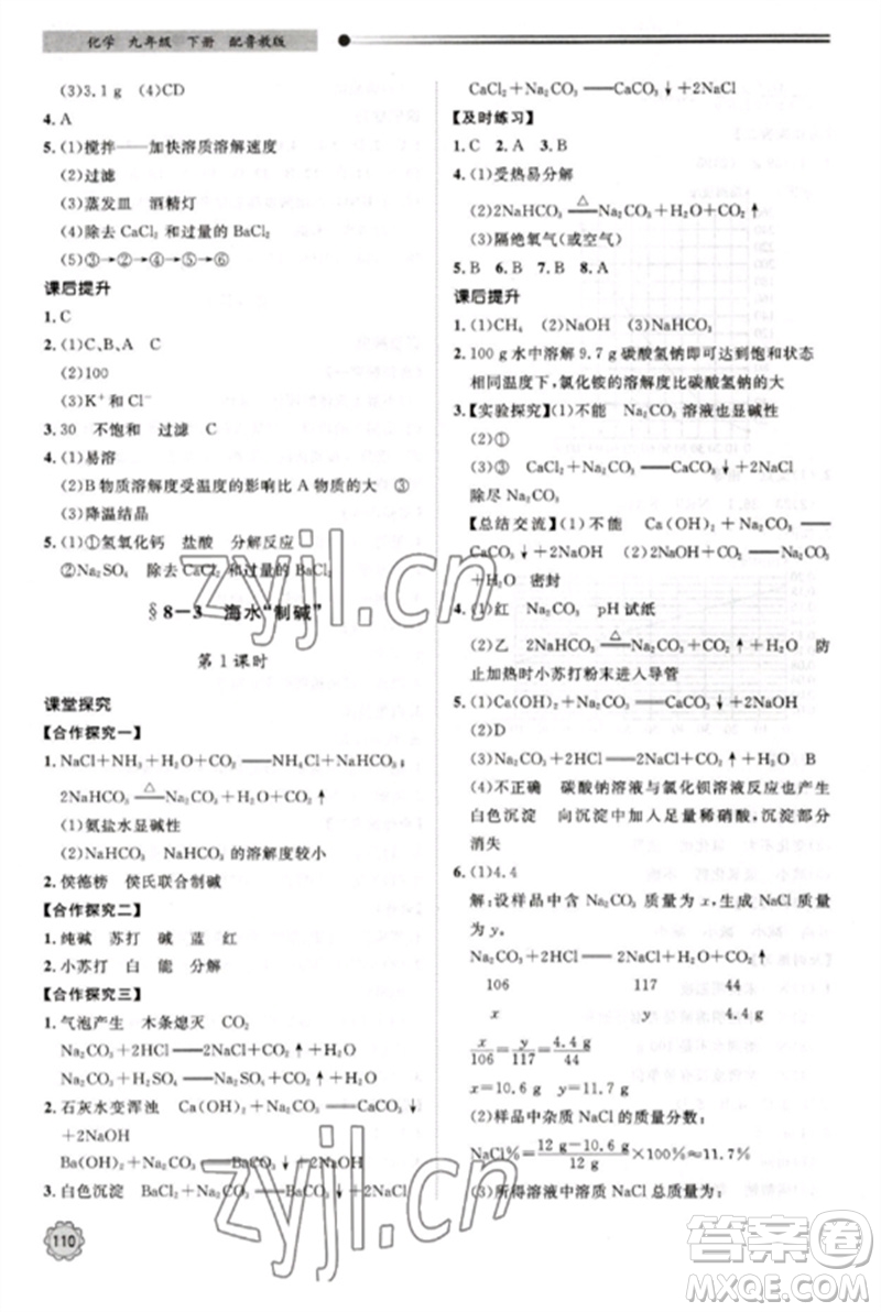 明天出版社2023初中同步練習(xí)冊九年級化學(xué)下冊魯教版參考答案