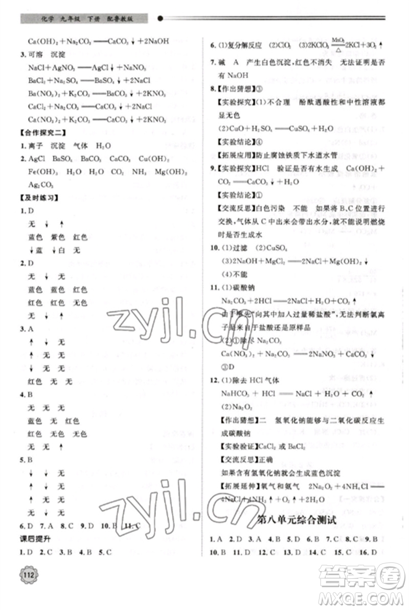 明天出版社2023初中同步練習(xí)冊九年級化學(xué)下冊魯教版參考答案