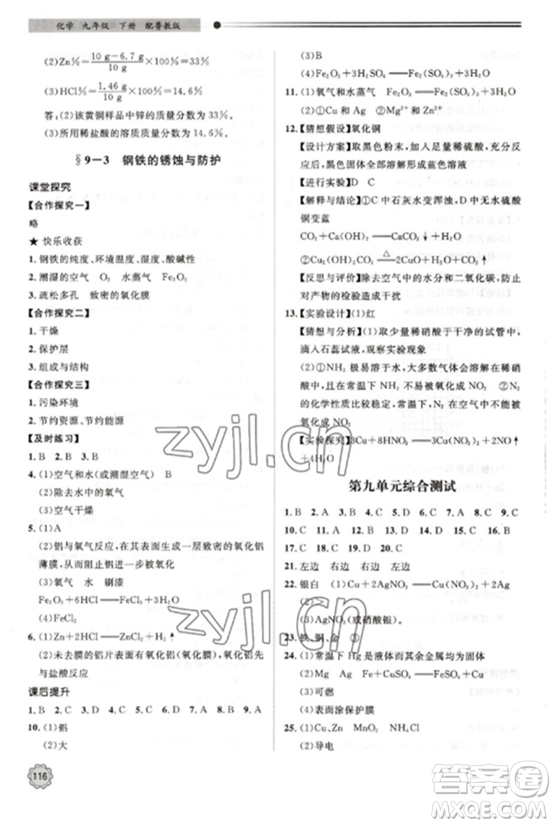 明天出版社2023初中同步練習(xí)冊九年級化學(xué)下冊魯教版參考答案