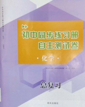 明天出版社2023初中同步練習(xí)冊(cè)自主測(cè)試卷九年級(jí)化學(xué)總復(fù)習(xí)人教版參考答案