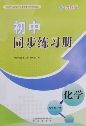 明天出版社2023初中同步練習(xí)冊九年級化學(xué)下冊魯教版參考答案