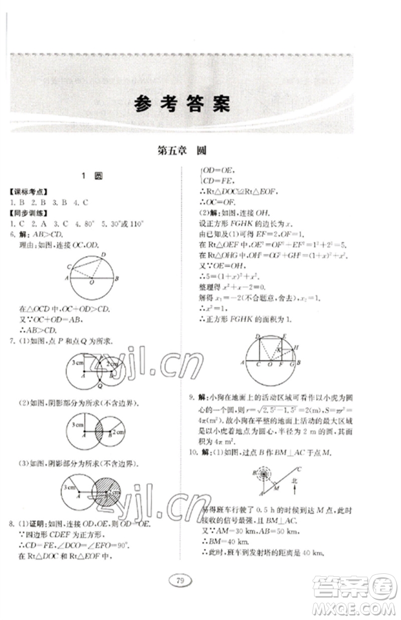 山東科學技術出版社2023初中同步練習冊九年級數(shù)學下冊魯教版五四制參考答案