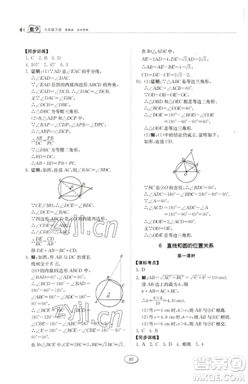 山東科學技術出版社2023初中同步練習冊九年級數(shù)學下冊魯教版五四制參考答案