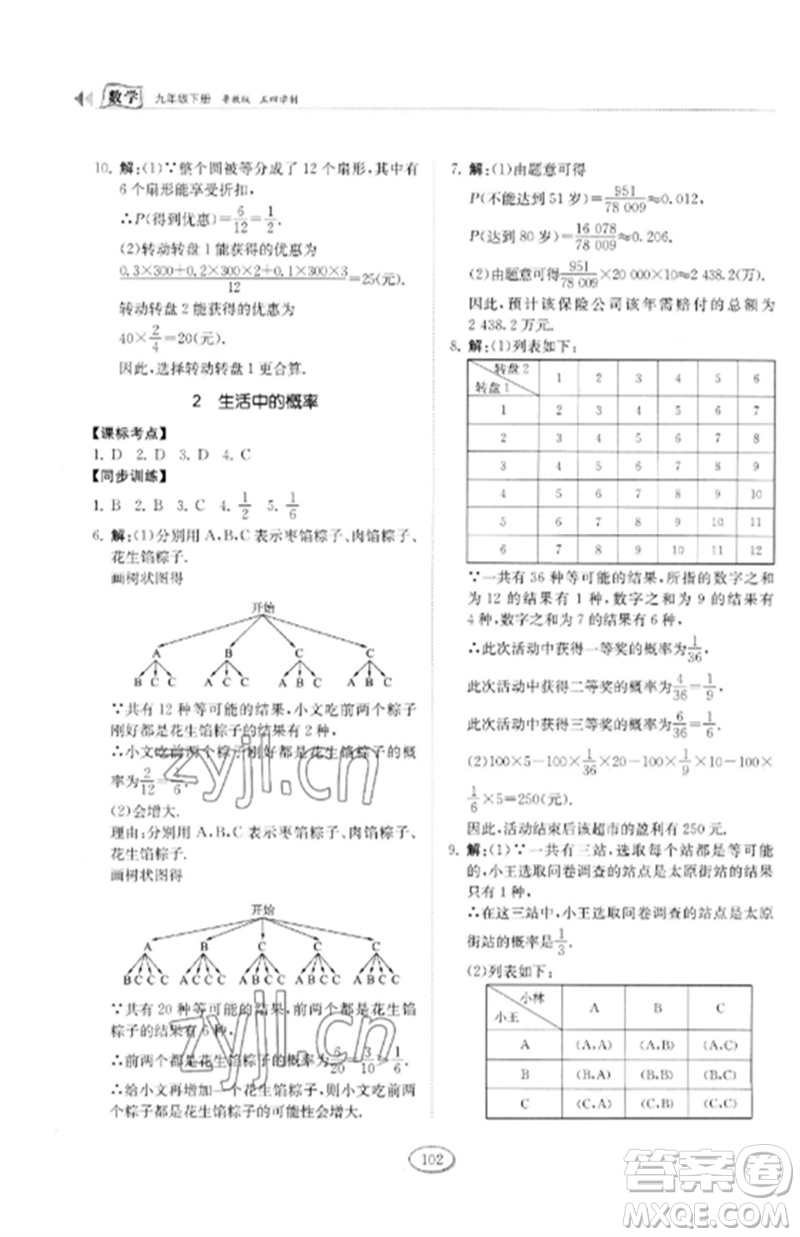 山東科學技術出版社2023初中同步練習冊九年級數(shù)學下冊魯教版五四制參考答案