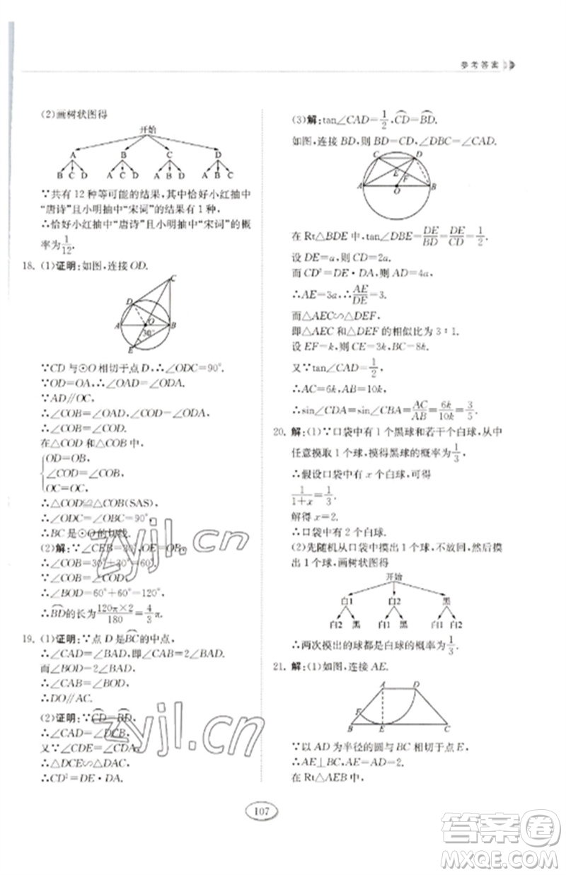 山東科學技術出版社2023初中同步練習冊九年級數(shù)學下冊魯教版五四制參考答案