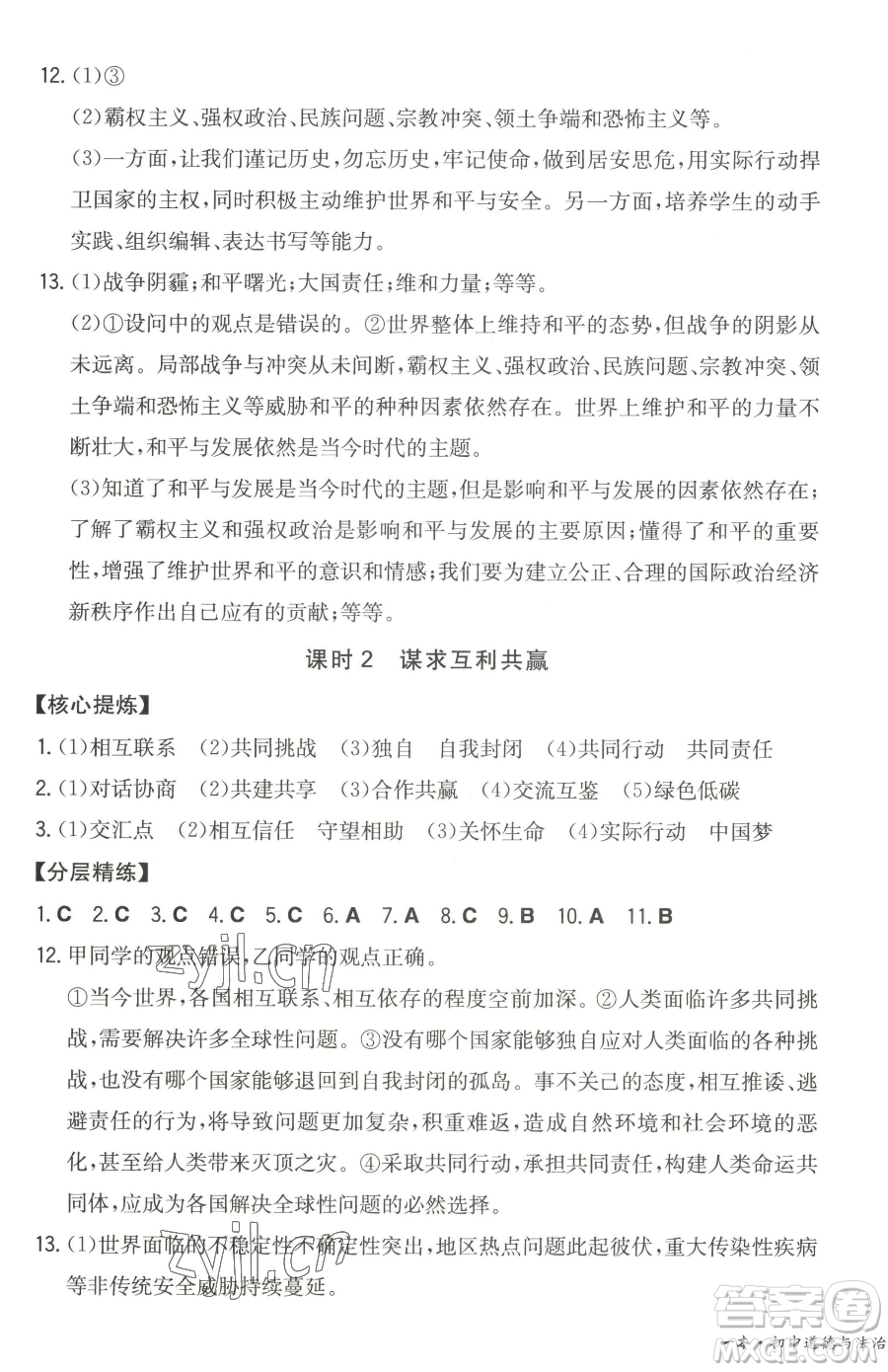 湖南教育出版社2023一本同步訓(xùn)練九年級下冊道德與法治人教版參考答案