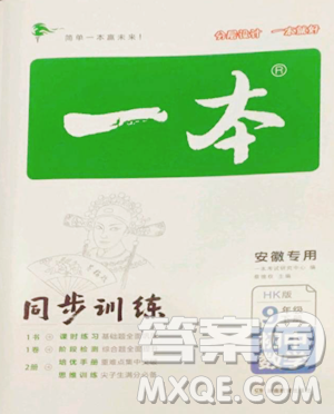 湖南教育出版社2023一本同步訓(xùn)練九年級下冊數(shù)學(xué)滬科版安徽專用參考答案