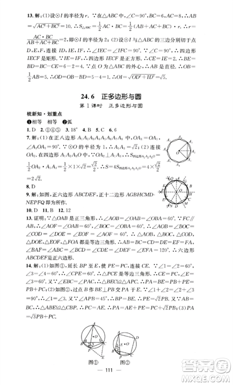 陽光教育出版社2023精英新課堂九年級數(shù)學(xué)下冊滬科版參考答案