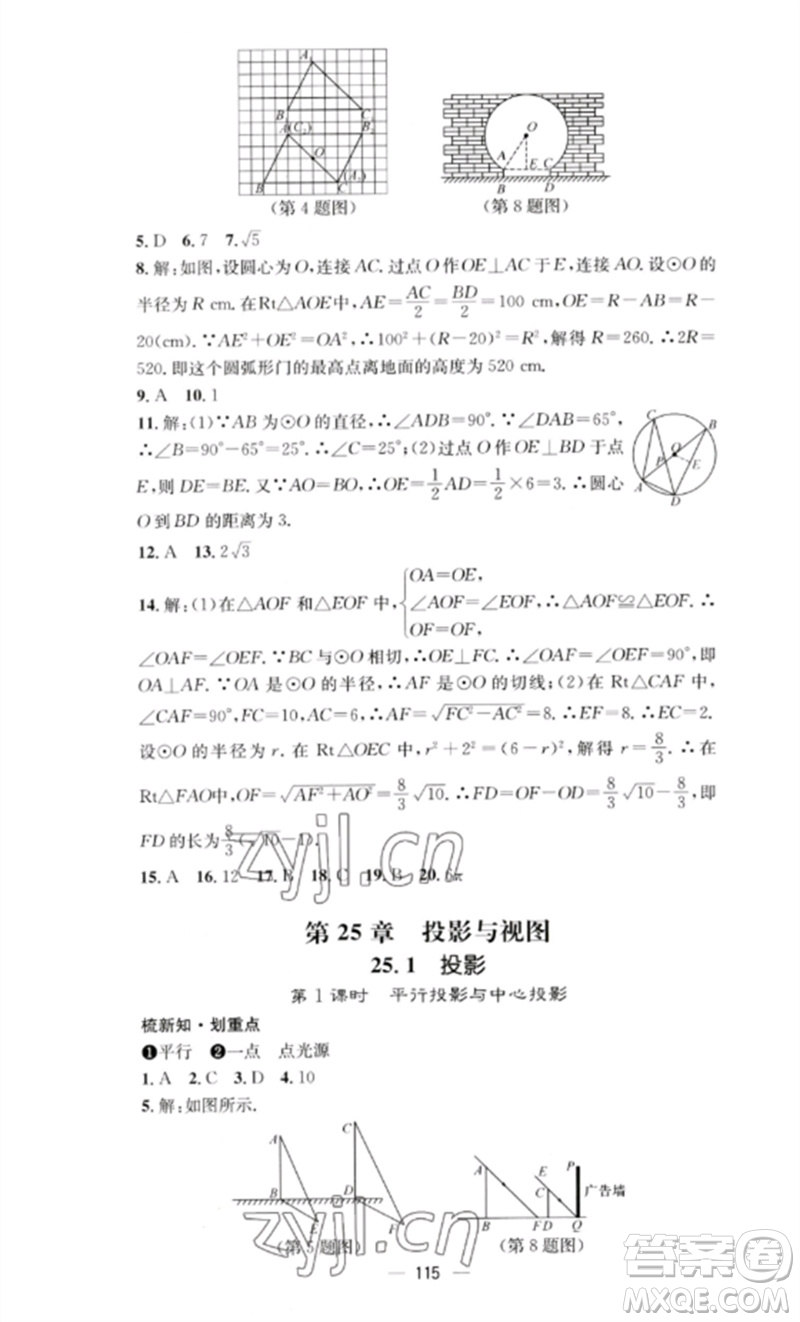 陽光教育出版社2023精英新課堂九年級數(shù)學(xué)下冊滬科版參考答案