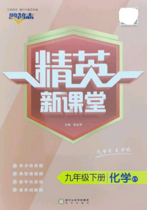 陽光教育出版社2023精英新課堂九年級化學(xué)下冊科粵版參考答案