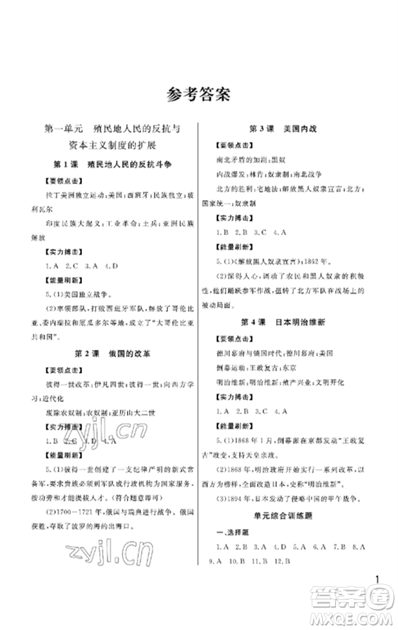 武漢出版社2023智慧學(xué)習(xí)天天向上課堂作業(yè)九年級歷史下冊人教版參考答案