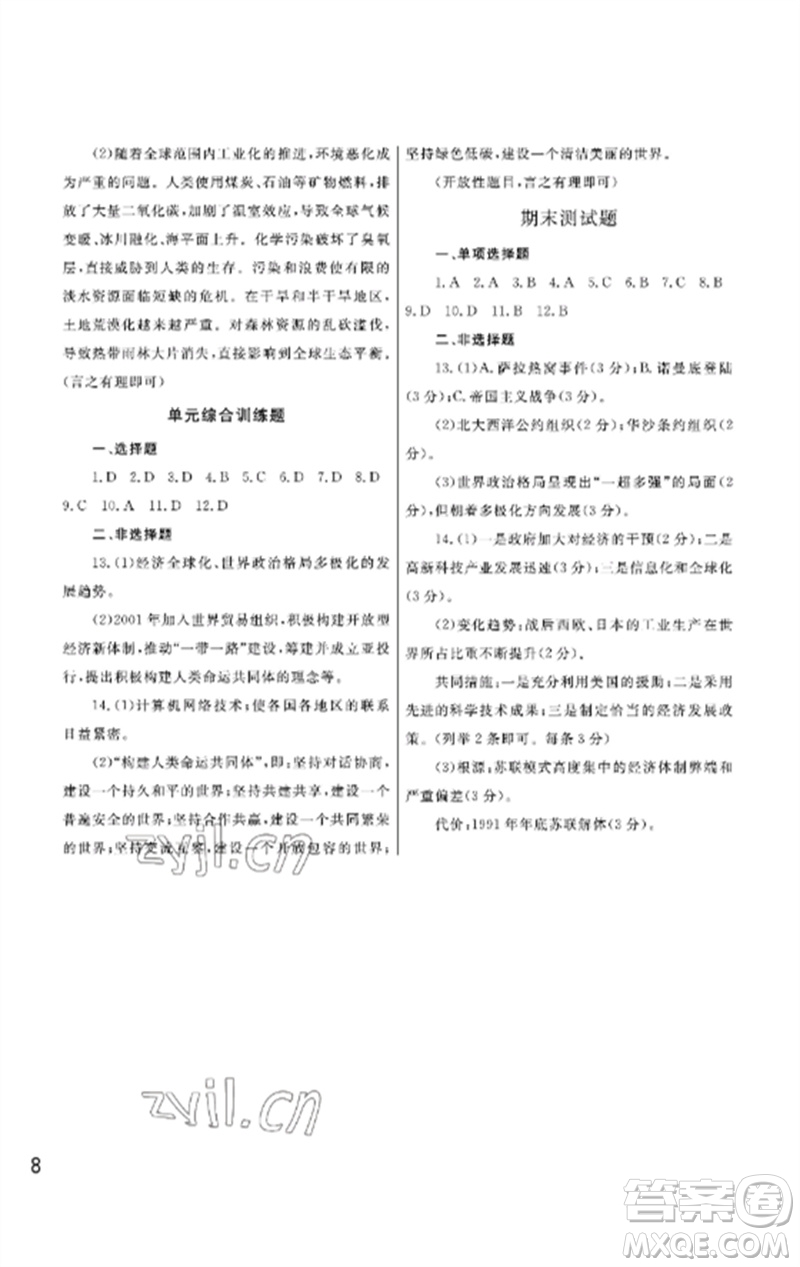 武漢出版社2023智慧學(xué)習(xí)天天向上課堂作業(yè)九年級歷史下冊人教版參考答案