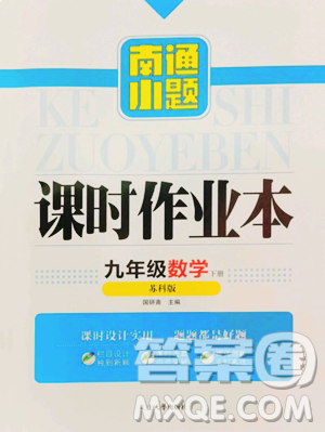 延邊大學(xué)出版社2023南通小題課時(shí)作業(yè)本九年級(jí)下冊(cè)數(shù)學(xué)蘇科版參考答案