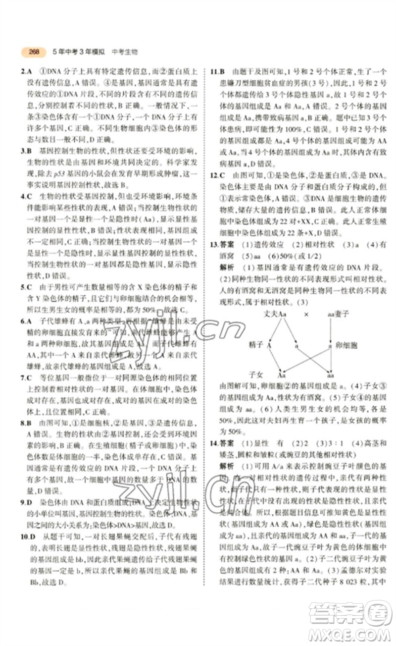 教育科學(xué)出版社2023年5年中考3年模擬九年級生物通用版參考答案