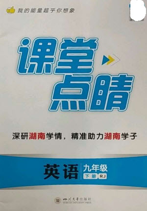 四川大學出版社2023課堂點睛九年級英語下冊人教版湖南專版參考答案