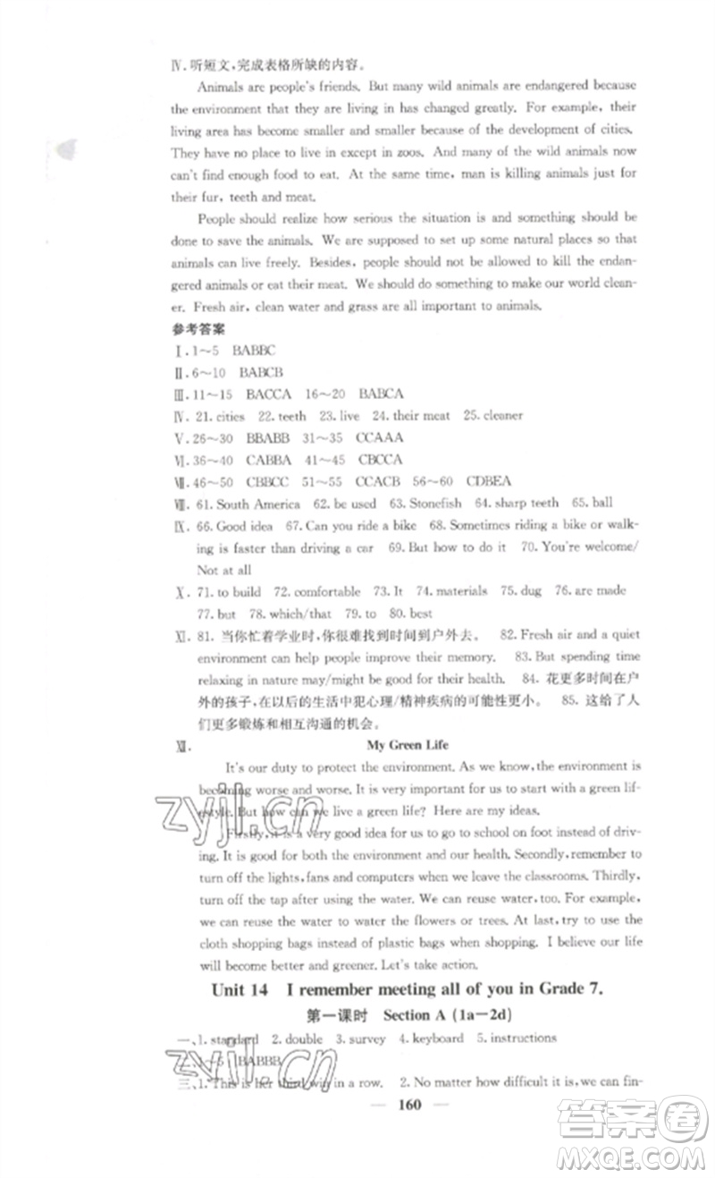 四川大學出版社2023課堂點睛九年級英語下冊人教版湖南專版參考答案