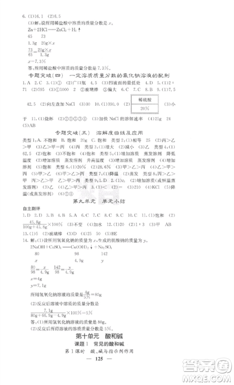 四川大學(xué)出版社2023課堂點(diǎn)睛九年級化學(xué)下冊人教版參考答案