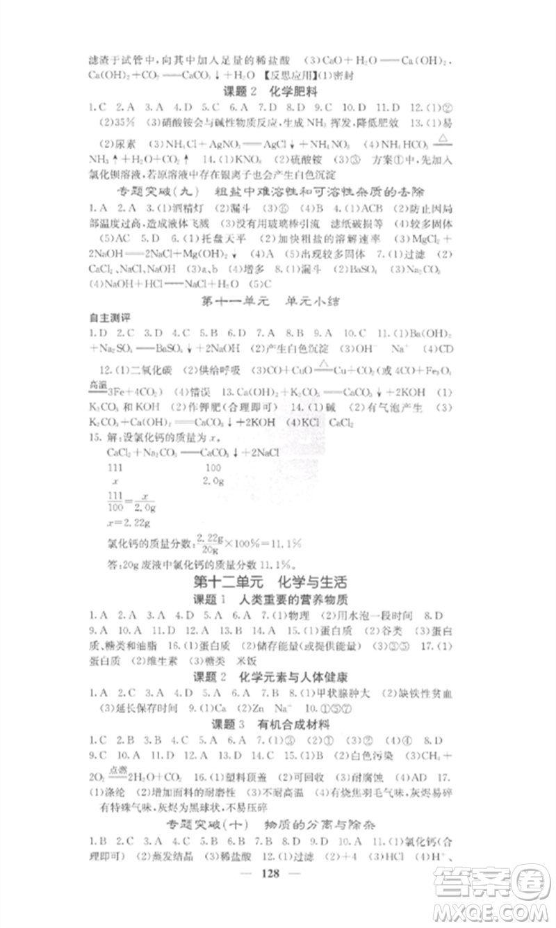 四川大學(xué)出版社2023課堂點睛九年級化學(xué)下冊人教版安徽專版參考答案