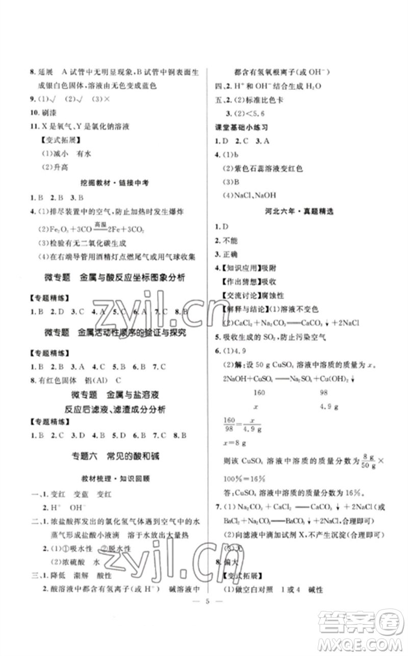 河北少年兒童出版社2023奪冠百分百中考沖刺九年級化學精講冊通用版河北專版參考答案