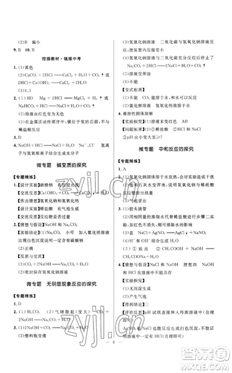 河北少年兒童出版社2023奪冠百分百中考沖刺九年級化學精講冊通用版河北專版參考答案