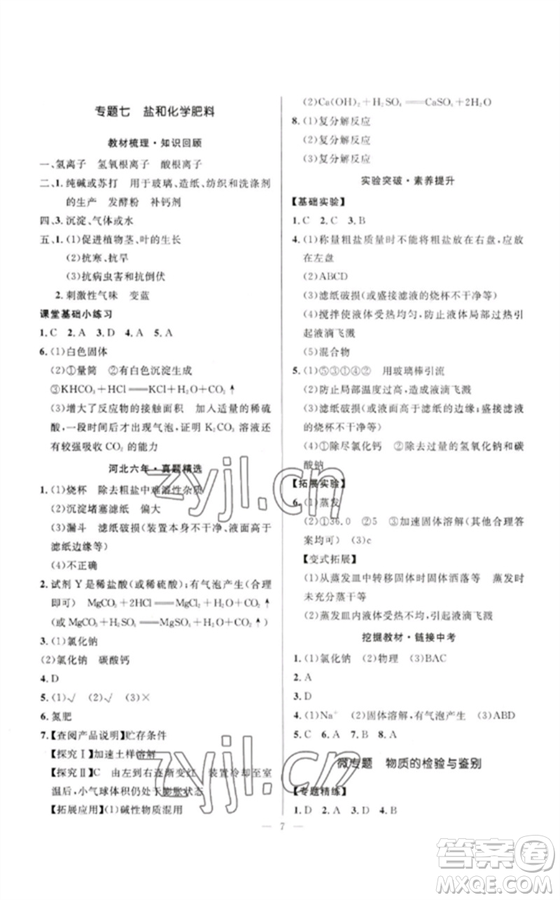 河北少年兒童出版社2023奪冠百分百中考沖刺九年級化學精講冊通用版河北專版參考答案