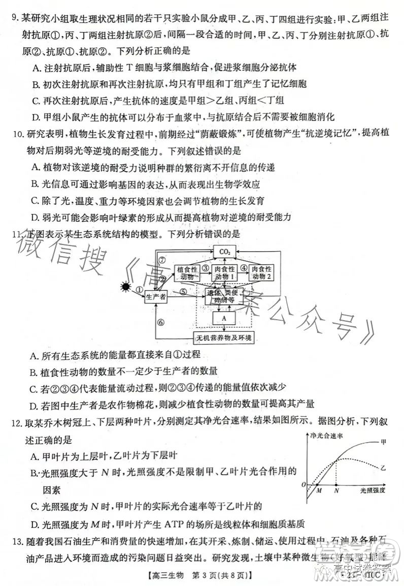 2023年金太陽高三4月聯(lián)考23410C生物試卷答案