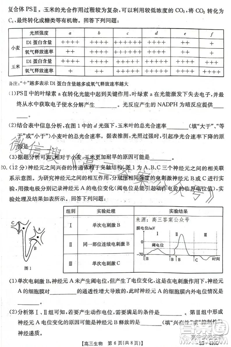 2023年金太陽高三4月聯(lián)考23410C生物試卷答案