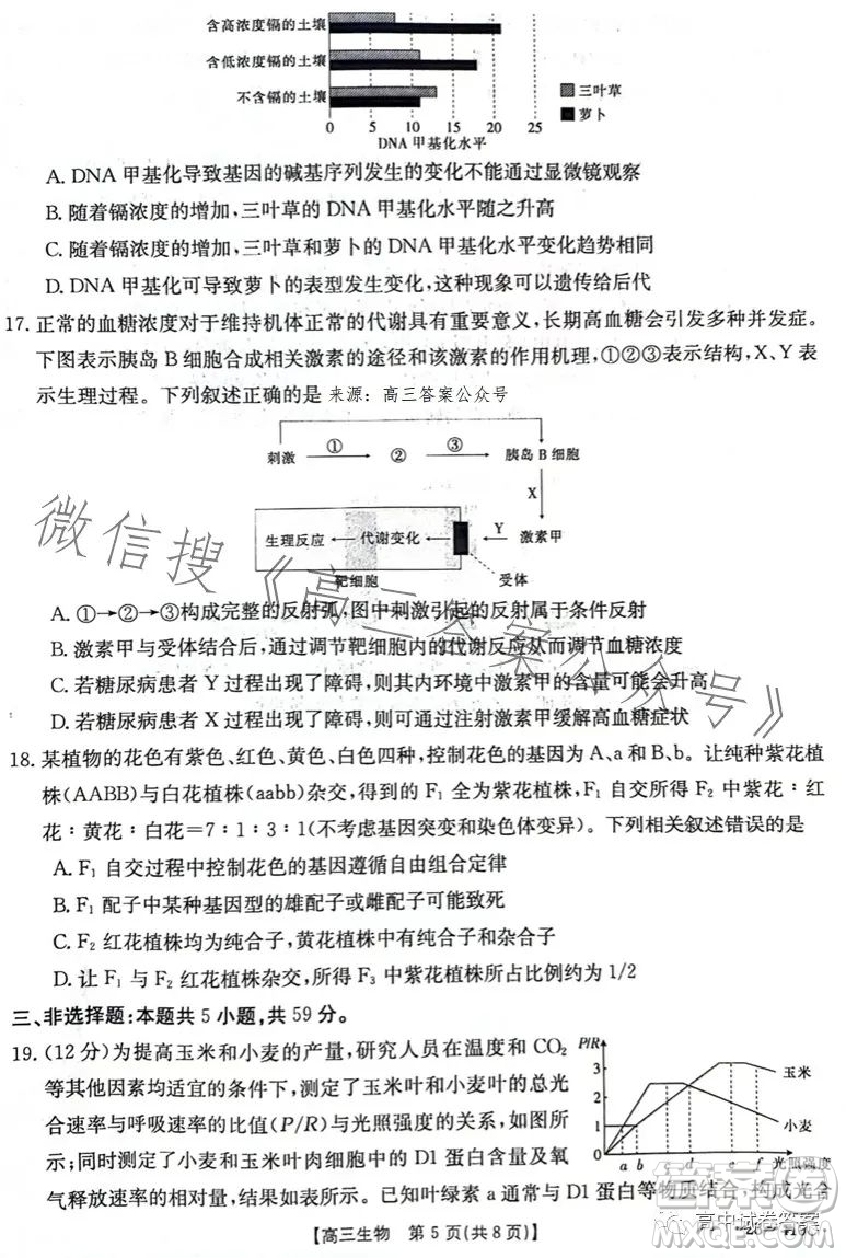 2023年金太陽高三4月聯(lián)考23410C生物試卷答案