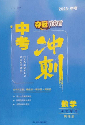 河北少年兒童出版社2023奪冠百分百中考沖刺九年級(jí)數(shù)學(xué)精練冊(cè)通用版河北專版參考答案