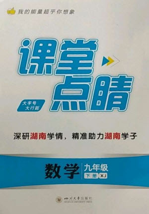 四川大學(xué)出版社2023課堂點(diǎn)睛九年級數(shù)學(xué)下冊湘教版參考答案