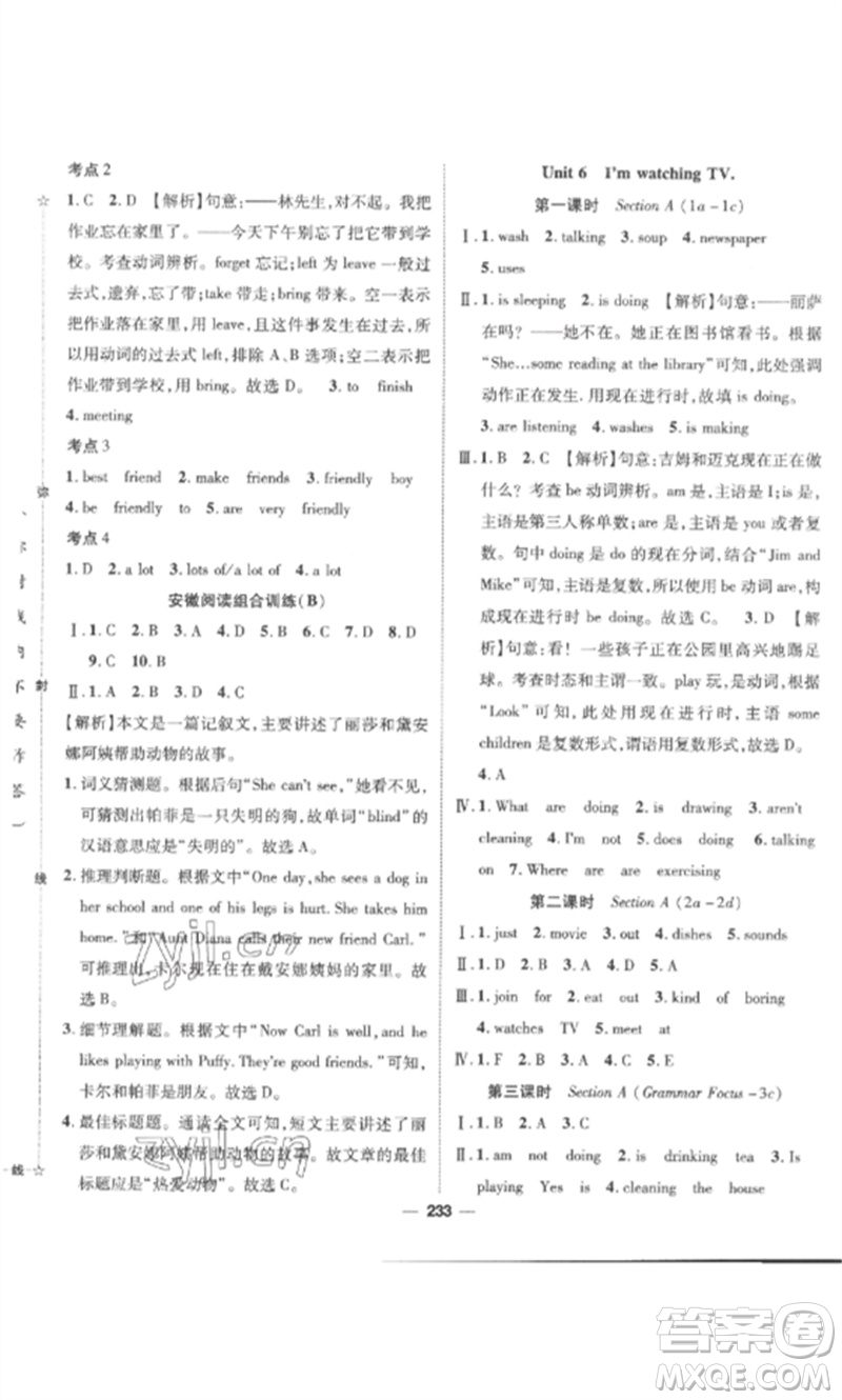 陽(yáng)光出版社2023精英新課堂七年級(jí)英語(yǔ)下冊(cè)人教版安徽專版參考答案