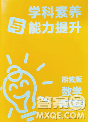 湖南教育出版社2023學(xué)科素養(yǎng)與能力提升九年級下冊數(shù)學(xué)湘教版參考答案