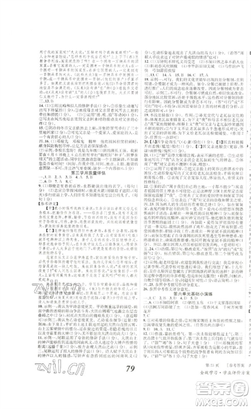 北京時(shí)代華文書局2023全效學(xué)習(xí)學(xué)業(yè)評(píng)價(jià)方案九年級(jí)語文下冊(cè)人教版參考答案