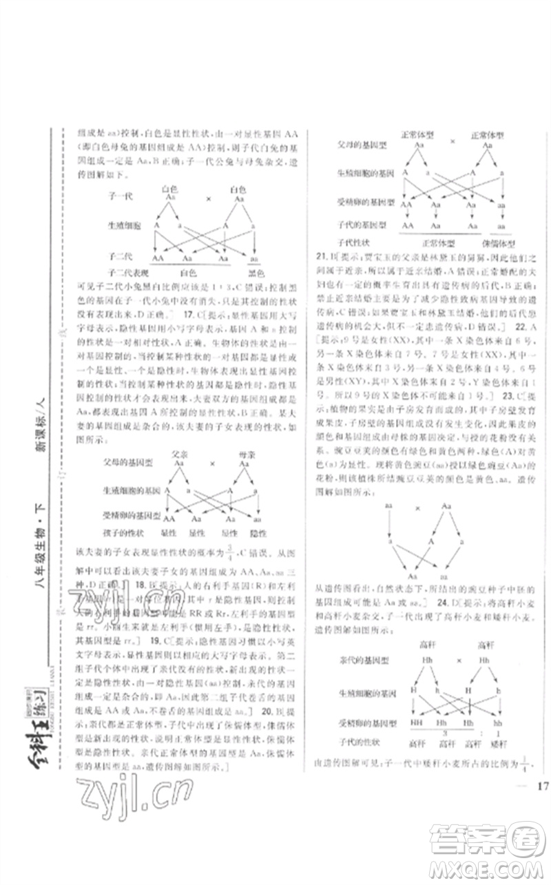 吉林人民出版社2023全科王同步課時(shí)練習(xí)八年級(jí)生物下冊(cè)人教版參考答案