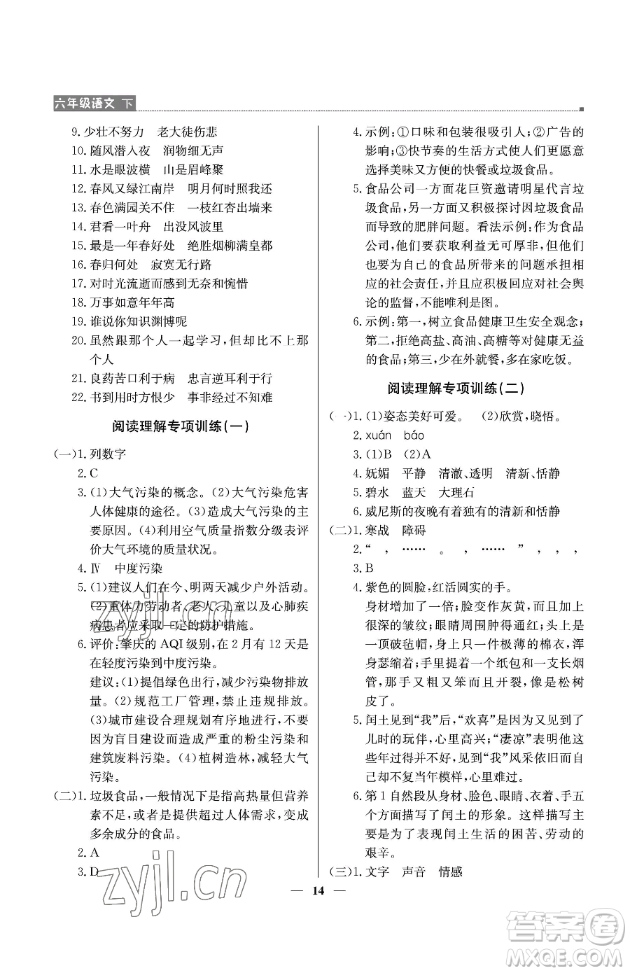 北京教育出版社2023提分教練優(yōu)學(xué)導(dǎo)練測六年級下冊語文人教版東莞專版參考答案