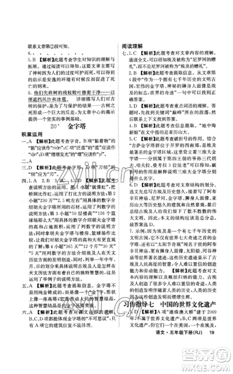 沈陽出版社2023課堂點睛五年級語文下冊人教版福建專版參考答案