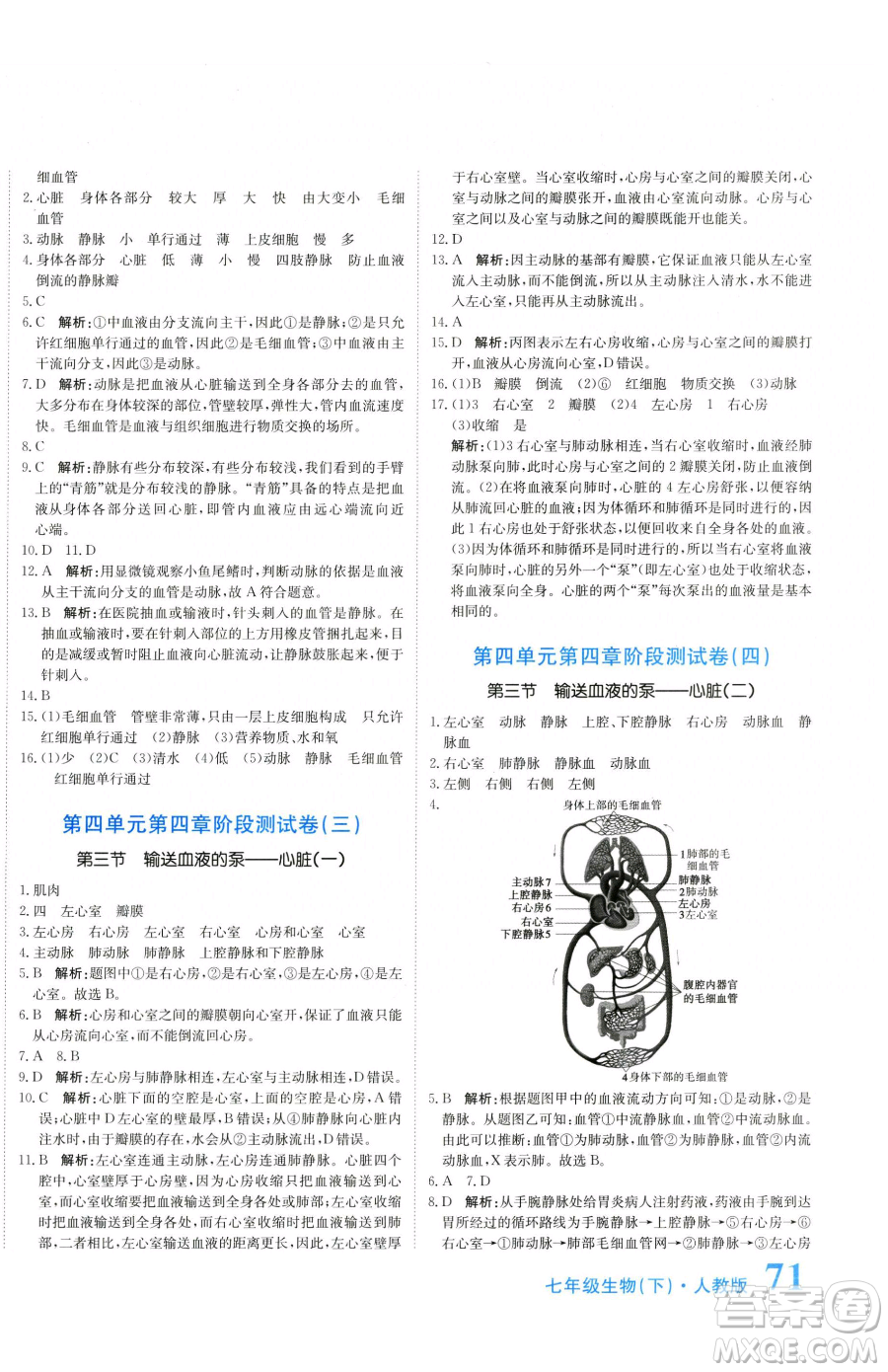 北京教育出版社2023提分教練優(yōu)學(xué)導(dǎo)練測七年級下冊生物人教版參考答案