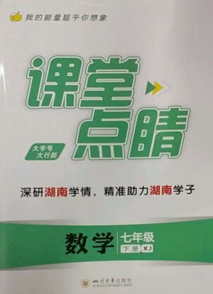 四川大學出版社2023課堂點睛七年級數(shù)學下冊湘教版湖南專版參考答案