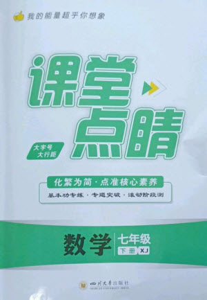 四川大學出版社2023課堂點睛七年級數(shù)學下冊湘教版參考答案