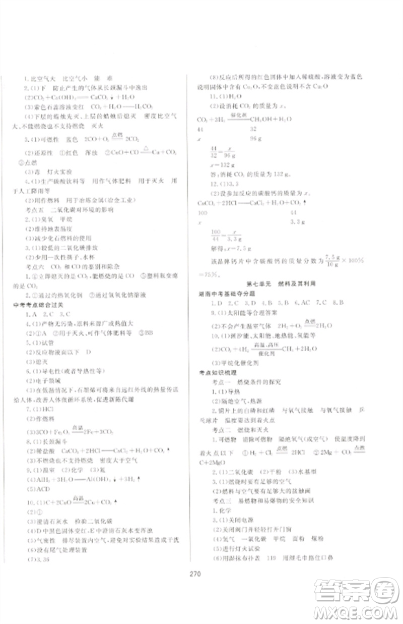 延邊大學出版社2023中考先鋒中考總復習九年級化學通用版參考答案