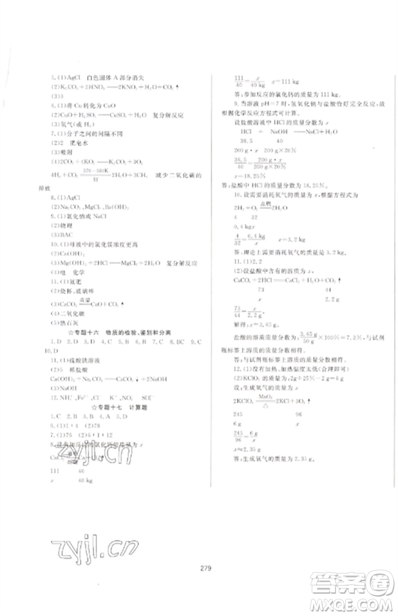 延邊大學出版社2023中考先鋒中考總復習九年級化學通用版參考答案