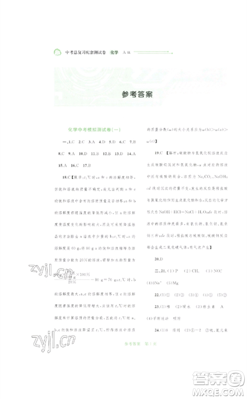 廣西師范大學(xué)出版社2023中考先鋒中考總復(fù)習(xí)配套測試卷九年級化學(xué)A版人教版參考答案