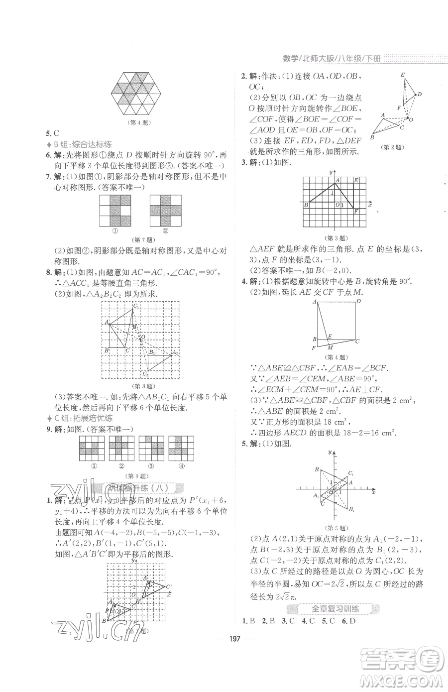 安徽教育出版社2023新編基礎訓練八年級下冊數(shù)學北師大版參考答案