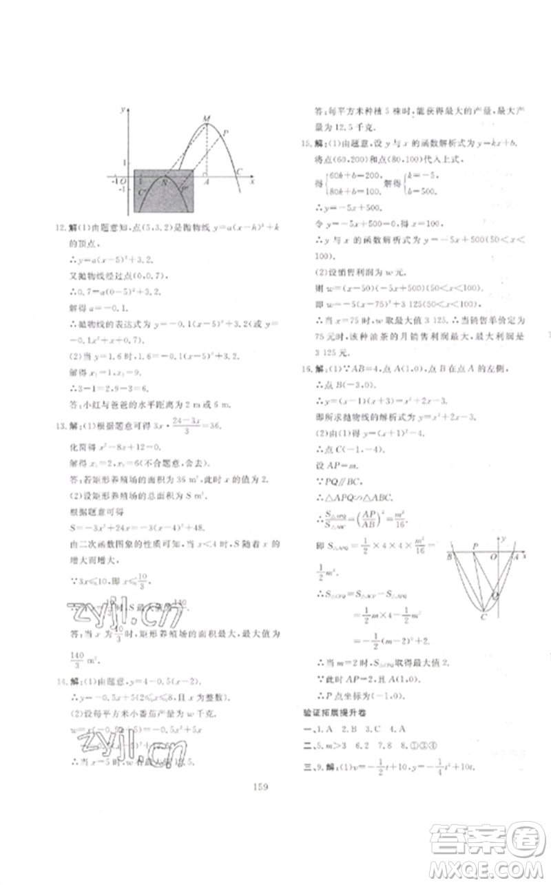 新疆文化出版社2023中考先鋒初中總復習全程培優(yōu)訓練第一方案九年級數(shù)學通用版參考答案